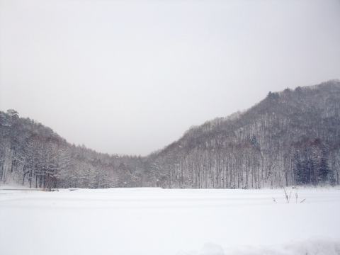 e0045768_2221374.jpg