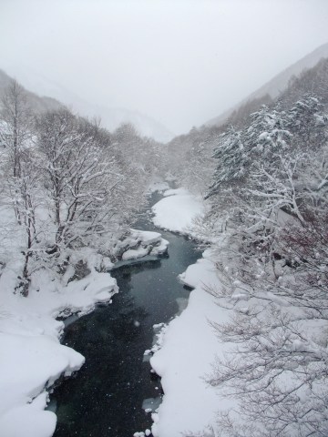 e0045768_2232482.jpg