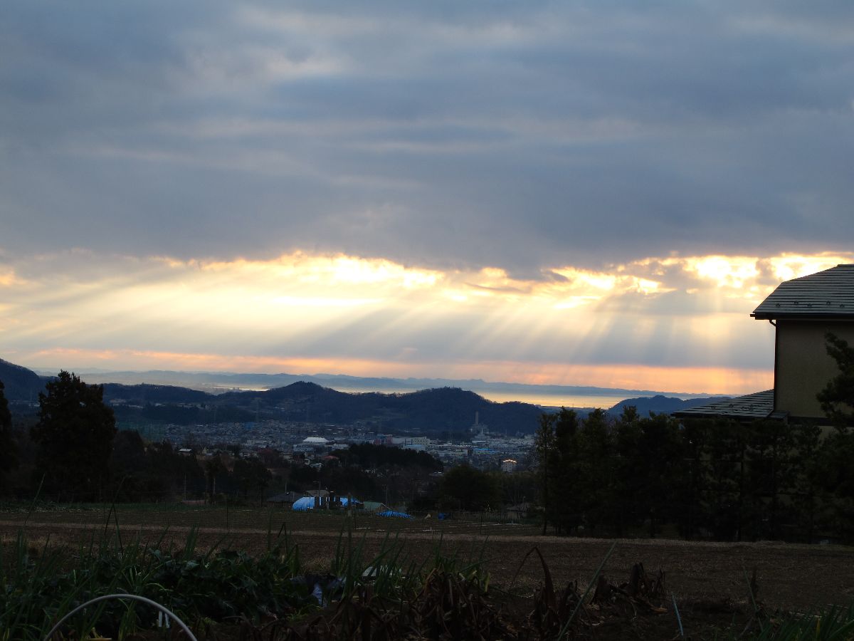 e0307372_1647587.jpg