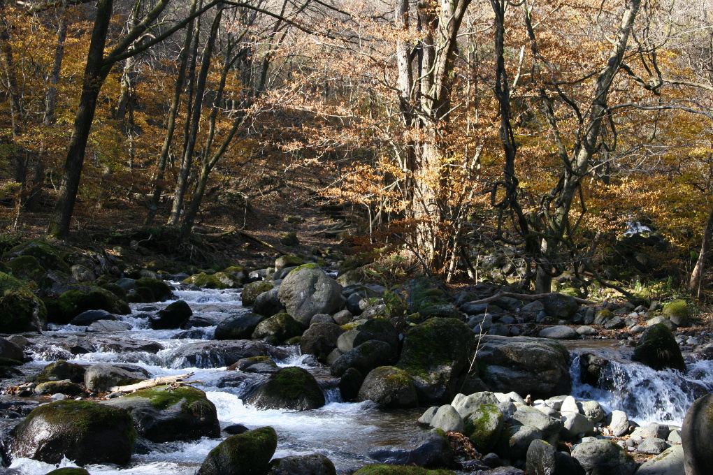 e0118274_205268.jpg