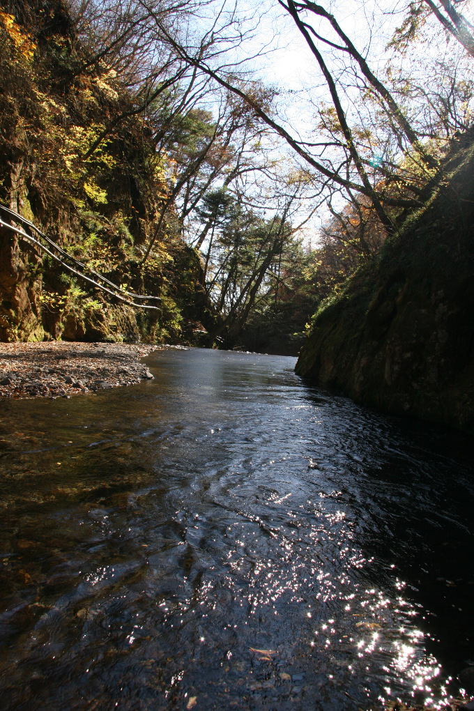 e0118274_20584264.jpg