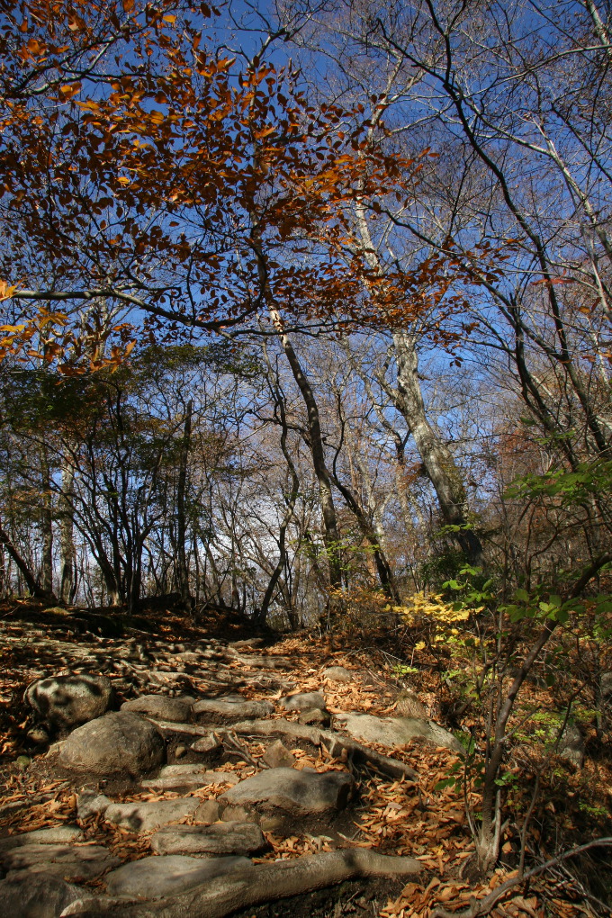 e0118274_2131536.jpg