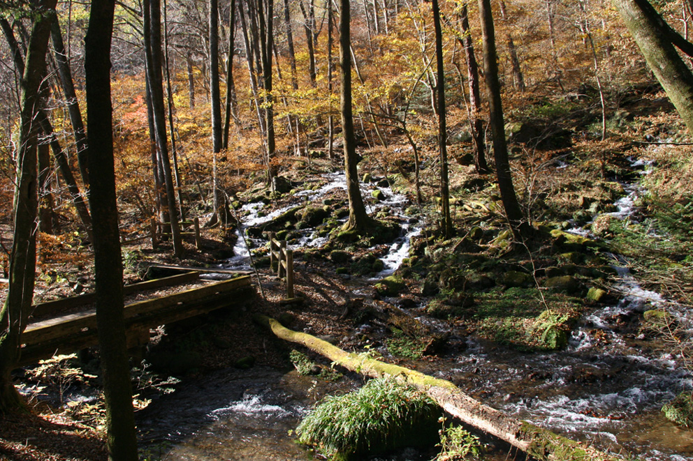 e0118274_21503697.jpg