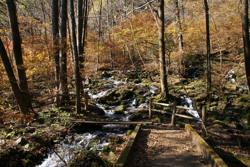 e0118274_21582316.jpg