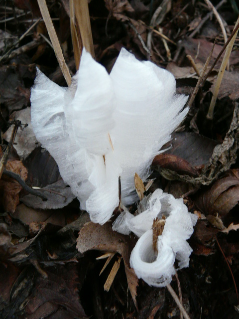 e0145782_16181677.jpg