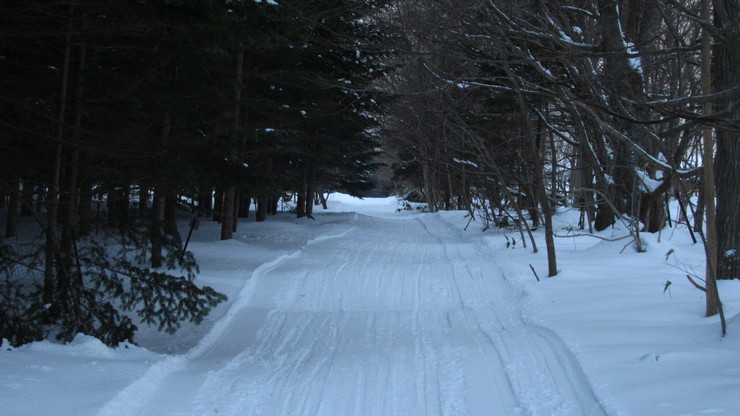 a0242984_17275621.jpg