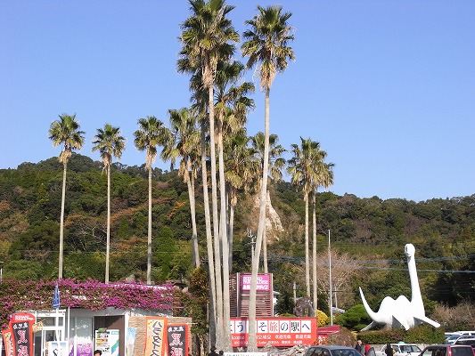 f0187402_2164550.jpg