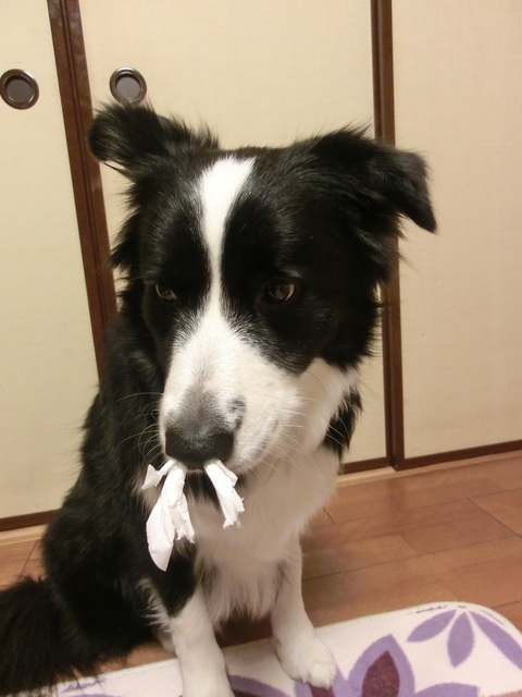 b0239909_21314072.jpg