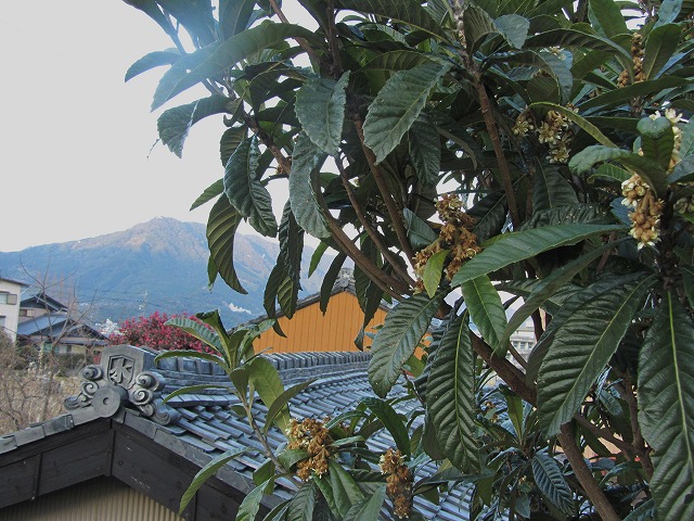 d0154609_1571861.jpg