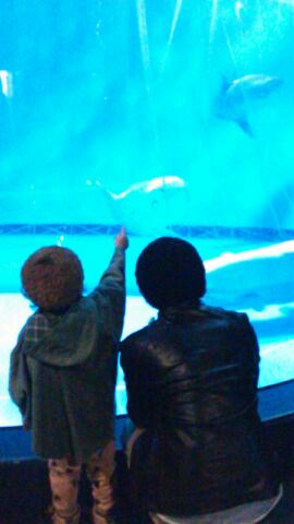 f0024409_17311144.jpg
