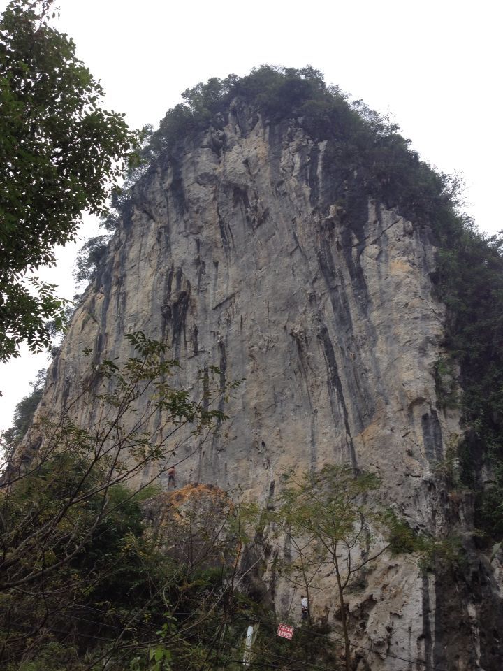 c0210618_1412891.jpg
