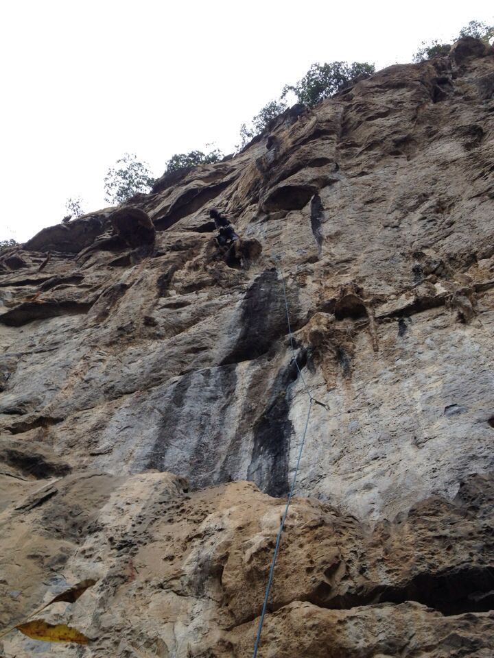 c0210618_1413322.jpg