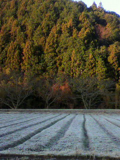 f0036223_15494844.jpg