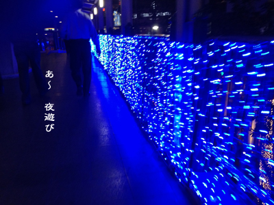 d0042827_335258.jpg