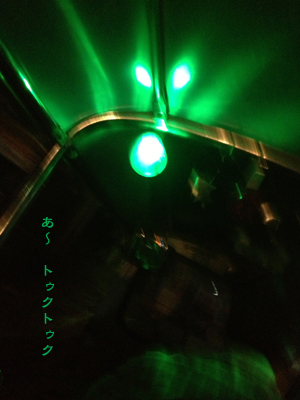 d0042827_336264.jpg