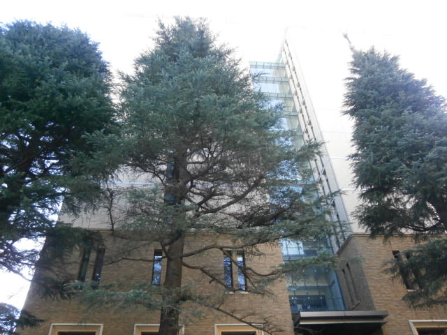 a0214329_11194913.jpg