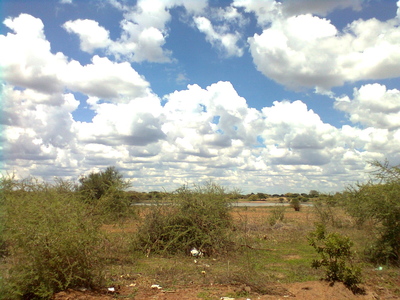 c0227132_1628311.jpg