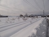 f0167635_5565959.jpg
