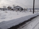 f0167635_5571486.jpg