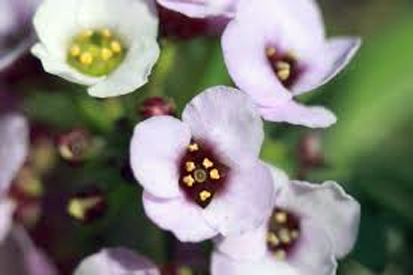 a0245136_16181693.jpg
