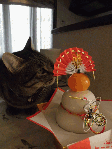 c0136736_17513772.gif