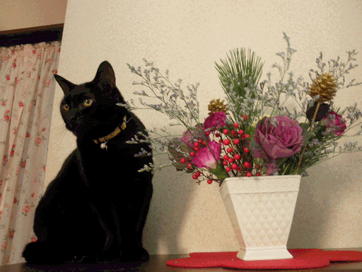 c0136736_17524288.gif