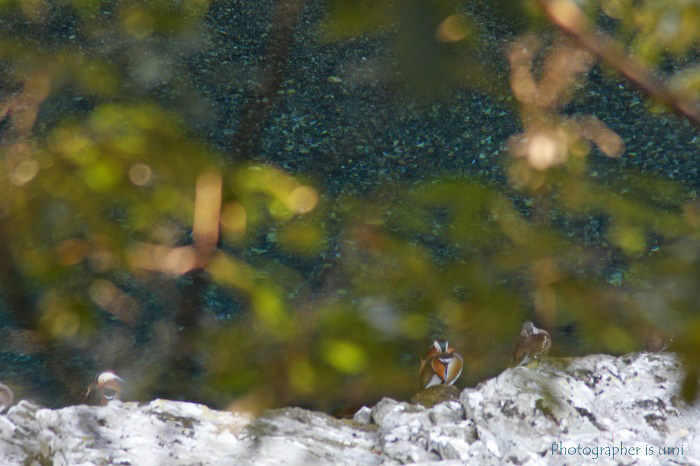 e0083238_21573420.jpg