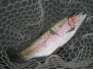 f0065341_16583345.jpg