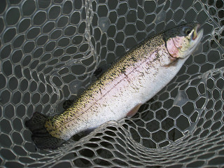 f0065341_1658472.jpg