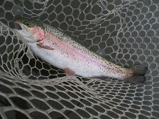 f0065341_165915100.jpg