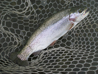 f0065341_16593472.jpg