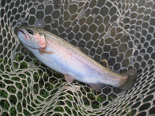 f0065341_17115595.jpg