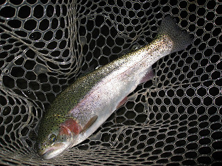 f0065341_17203975.jpg