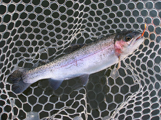 f0065341_17302342.jpg