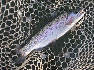 f0065341_17332683.jpg