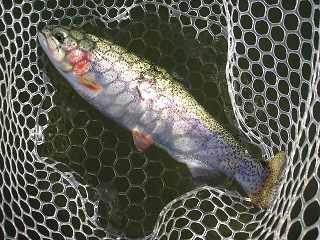 f0065341_1733356.jpg
