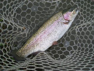 f0065341_1752793.jpg