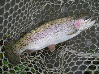 f0065341_17582.jpg