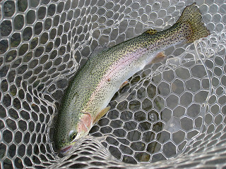 f0065341_1794596.jpg