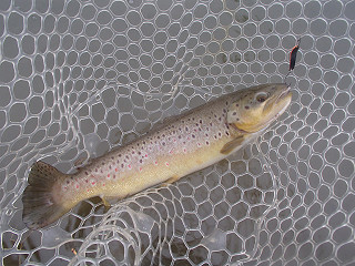f0065341_23495441.jpg
