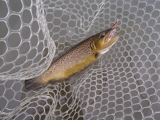 f0065341_23502960.jpg