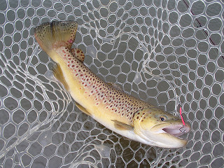 f0065341_23504066.jpg