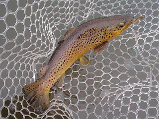 f0065341_23522546.jpg