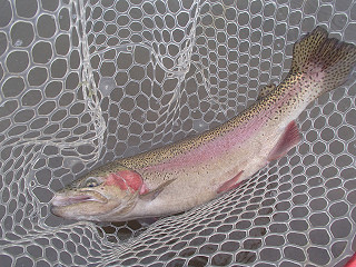 f0065341_23533516.jpg