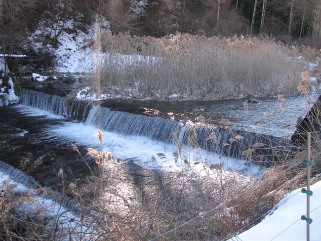 f0151044_7523523.jpg