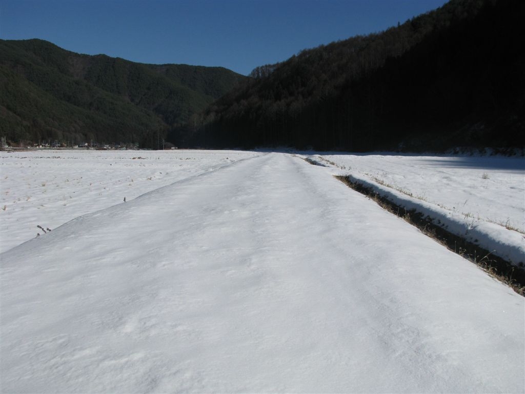 f0151044_7531323.jpg