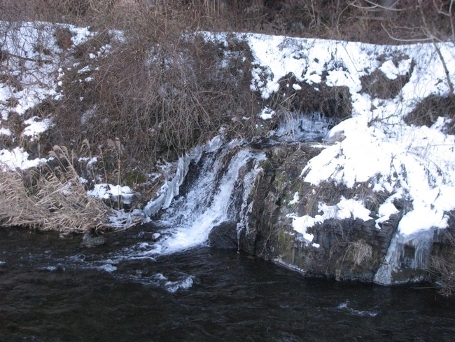 f0151044_753371.jpg