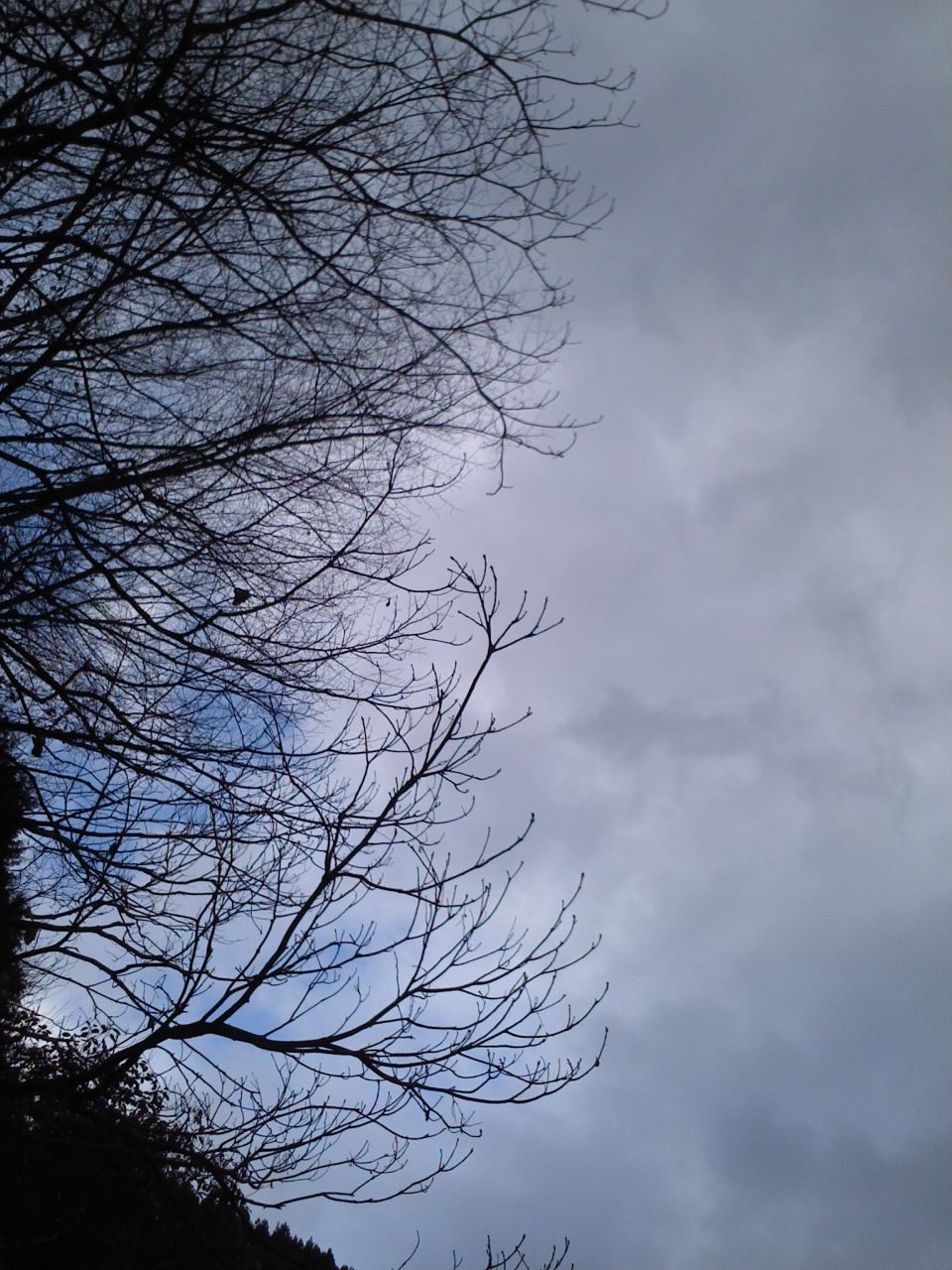 f0182246_12104821.jpg