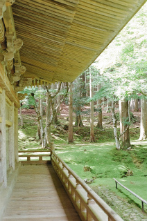 b0178548_23182955.jpg