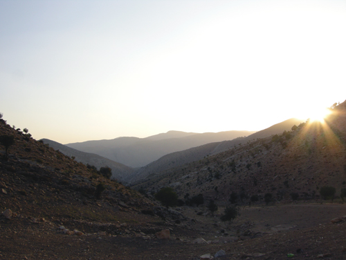 b0006449_8292589.jpg